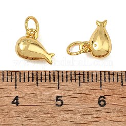 Brass Charms&nbsp;KK-F941-01G