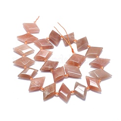 Natural Sunstone Beads Strands&nbsp;G-O179-H22