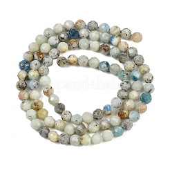 Natural Blue Azurite in Calcite Beads Strands&nbsp;G-P618-4mm-01