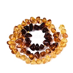 Gradient Color Natural Amber Beads Strands&nbsp;G-N371-11A-01