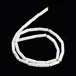 Freshwater Shell Beads Strands&nbsp;BSHE-L037-13