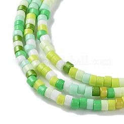 Handmade Lampwork Beads Strands&nbsp;LAMP-L078-008
