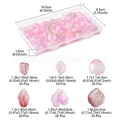 120Pcs 6 Styles Autumn Theme Two-Tone Transparent Glass Charms&nbsp;GLAA-FS0002-23