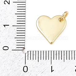 Brass Charms&nbsp;KK-L251-41G-B03