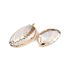 Natural Paua Shell Pendants&nbsp;SSHEL-N038-18B