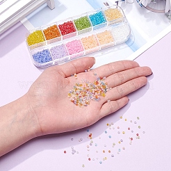 12 Style 12/0 Glass Seed Beads&nbsp;SEED-YW0001-49B