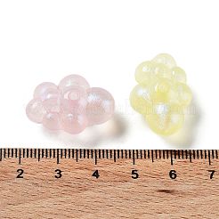 Transparent Acrylic Beads&nbsp;OACR-Z013-02A