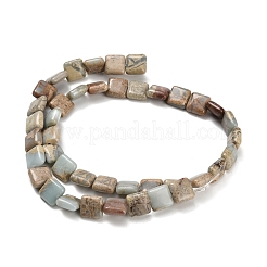 Natural Aqua Terra Jasper Beads Strands&nbsp;G-Z110-H01-10x10mm