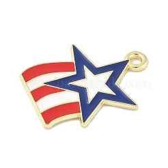Independence Day Alloy Enamel Pandants&nbsp;FIND-M083-05H-G