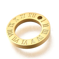 304 Stainless Steel Charms&nbsp;STAS-Q348-33G