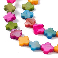 10 Strands Colorful Natural Freshwater Shell Dyed Beads Strands&nbsp;SHEL-M018-03