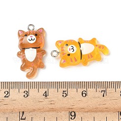 Transparent Resin Pendants&nbsp;FIND-A058-04