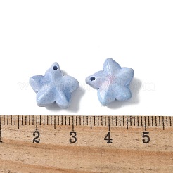 Natural Rainbow Alashan Agate Charms&nbsp;G-G194-02E