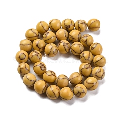 Synthetic Turquoise Beads Strands&nbsp;G-L605-G01-04C