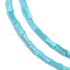 Natural Freshwater Shell Beads Strands&nbsp;SHEL-G013-01D
