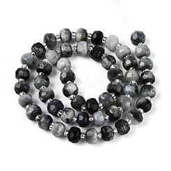 Natural Eagle Eye Stone Beads Strands&nbsp;G-T144-A01-03