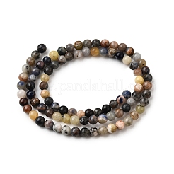 Natural Sodalite Beads Strands&nbsp;G-F591-13A