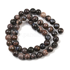 Natural Glaucophane Beads Strands&nbsp;X-G-R485-12-8mm