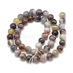 Natural Botswana Agate Beads Strands&nbsp;G-S150-24-6mm