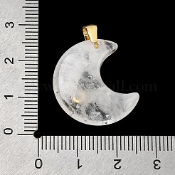 Natural Quartz Crystal Pendants&nbsp;X-G-A297-02G-12