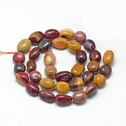 Natural Mookaite Beads Strands&nbsp;G-R445-8x10-11
