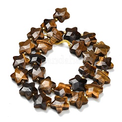 Natural Tiger Eye Beads Strands&nbsp;G-L657-A09-01