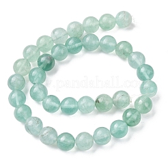 Natural Green Fluorite Beads Strands&nbsp;G-H343-D07-12mm