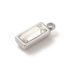 304 Stainless Steel Charm&nbsp;STAS-L022-242P