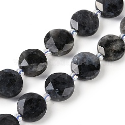 Natural Larvikite Beads Strands&nbsp;G-C116-A45-01