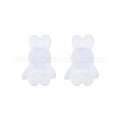 Transparent Acrylic Beads&nbsp;X-OACR-N008-172F