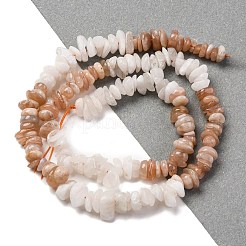 Natural Multi-Moonstone Beads Strands&nbsp;G-L610-A12-02