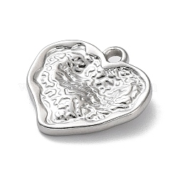 Non-Tarnish 304 Stainless Steel Pendants&nbsp;STAS-M323-55P