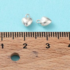 925 Sterling Silver Charms&nbsp;X-STER-H106-01C-S