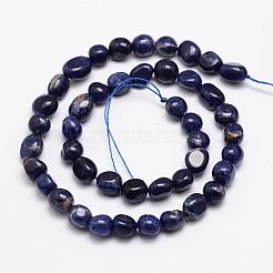 Natural Sodalite Bead Strands&nbsp;G-L459-28