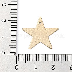 Geometric Alloy Sheet Printed Pendant Earrings Accessories&nbsp;LS-PALLOY-E139-01G-03