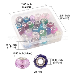 25Pcs Handmade Glass European Beads&nbsp;GLAA-FS0001-53