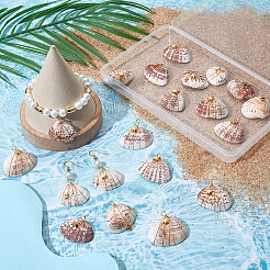 20Pcs Natural Clam Shell Copper Wire Wrapped Pendants&nbsp;FIND-SC0014-24