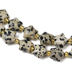 Natural Dalmatian Jasper Beads Strands&nbsp;G-Z080-A08-10mm