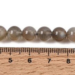 Natural Grey Moonstone Beads Strands&nbsp;G-G206-A01-8mm