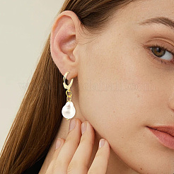 80Pcs 2 Colors 304 Stainless Steel Leverback Earring Findings&nbsp;STAS-SC0010-56