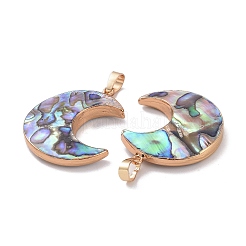 Natural Abalone Shell/Paua Shell Pendants&nbsp;SSHEL-L019-08G