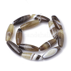 Natural Striped Agate/Banded Agate Beads Strands&nbsp;X-G-S280-10