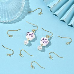 SHEGRACE Brass Earring Hooks&nbsp;XGR0137G-155G