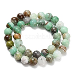 Natural Chalcedony Beads Strands&nbsp;G-C259-B03-10mm