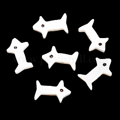 Natural Freshwater Shell Beads&nbsp;SHEL-R129-01