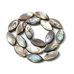 Natural Paua Shell Beads Strands&nbsp;SHEL-F006-05