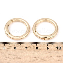 Alloy Spring Gate Clasps&nbsp;X-FIND-H012-05KCG