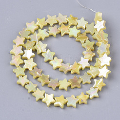 Freshwater Shell Beads Strands&nbsp;SHEL-N026-08B