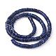 Shell Beads Strands&nbsp;SSHEL-E571-49F-3