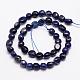 Natural Sodalite Bead Strands&nbsp;G-L459-28-2